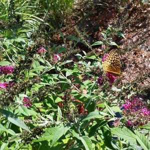 20150918_163331.jpg
