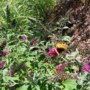 20150918_163333.jpg