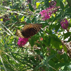 20150918_163355.jpg