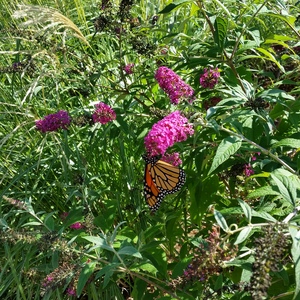 20150918_164040.jpg