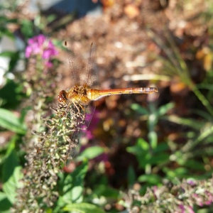 20150918_164854.jpg