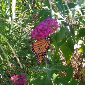 20150918_170158.jpg