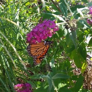20150918_170205.jpg