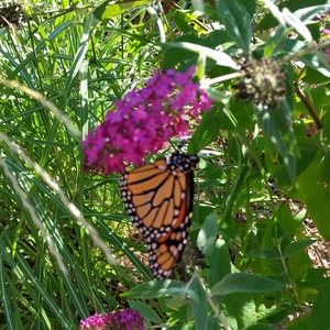 20150918_170209.jpg