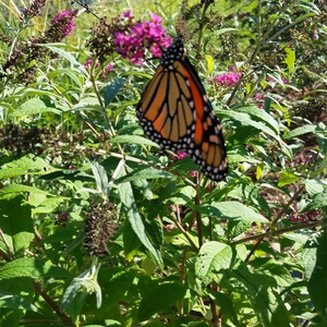 20150918_170244.jpg