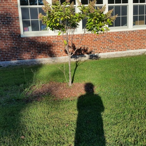 20150918_172237.jpg