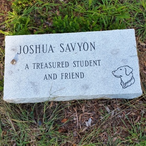 20150918_172253.jpg