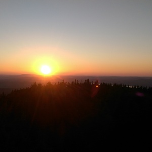IMAG0774.jpg