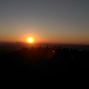 IMAG0775.jpg