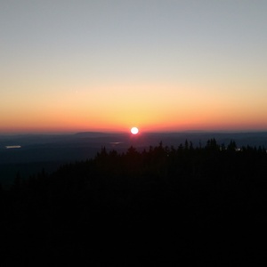 IMAG0781.jpg