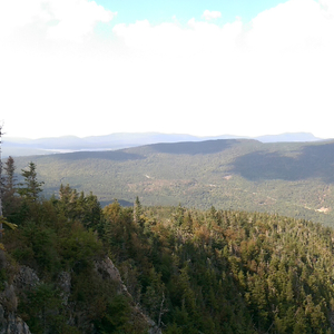 IMAG0796.jpg