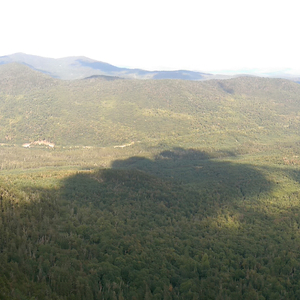 IMAG0799.jpg