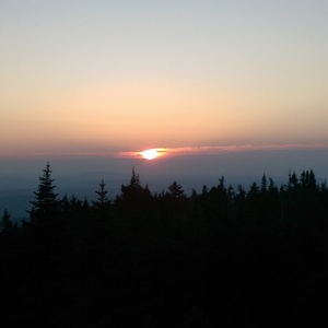 IMAG0803.jpg