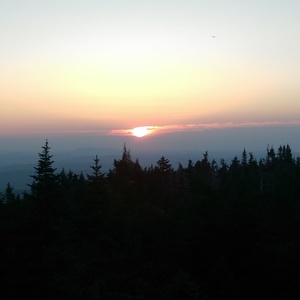 IMAG0804.jpg