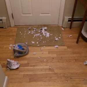 IMAG0135.jpg