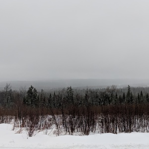 IMG_20190101_092842.jpg