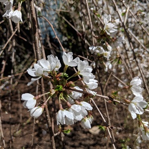 IMG_20190425_140045.jpg