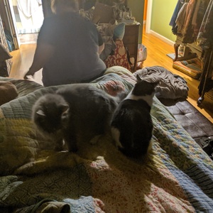IMG_20190517_232808.jpg