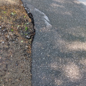 IMG_20190526_081600.jpg