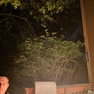IMG_20190610_230726.jpg