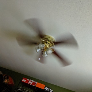 IMG_20190612_070502.jpg