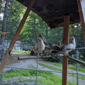 IMG_20190729_184643.jpg