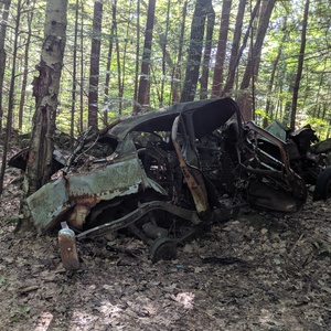 IMG_20190801_093320.jpg