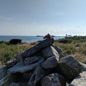 IMG_20190818_165510.jpg