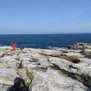 IMG_20190818_171727.jpg