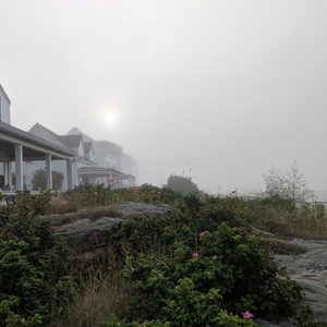 IMG_20190818_183031.jpg