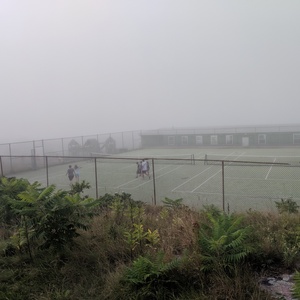 IMG_20190818_183105.jpg