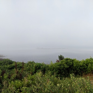IMG_20190819_075213.jpg