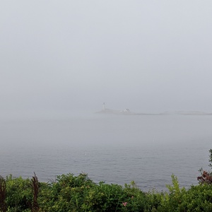 IMG_20190819_075221.jpg