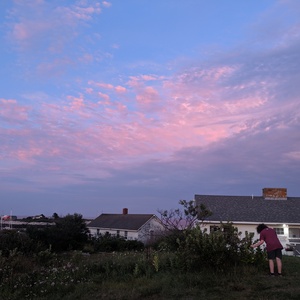 IMG_20190819_194529.jpg
