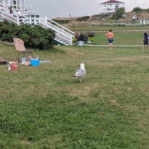 IMG_20190822_142651.jpg