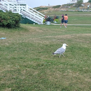 IMG_20190822_142656.jpg