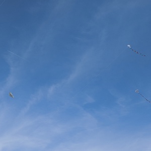 IMG_20190915_140015.jpg
