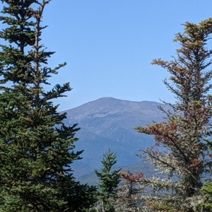 IMG_20190921_131214.jpg
