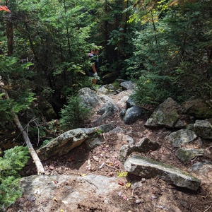 IMG_20190921_133305.jpg