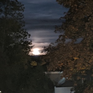 IMG_20191013_190310.jpg
