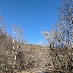 IMG_20191116_114027.jpg