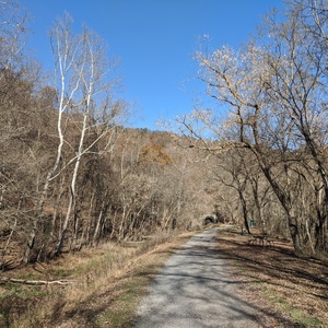 IMG_20191116_114029.jpg