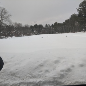 IMG_20191204_073325.jpg