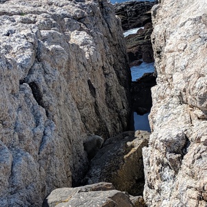 IMG_20190609_103649.jpg