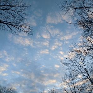 IMG_20200203_071916.jpg