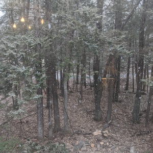 IMG_20200323_160447.jpg