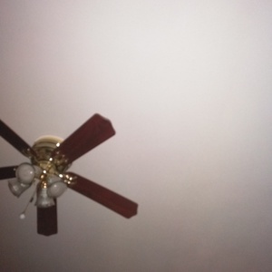 IMG_20200519_235609.jpg