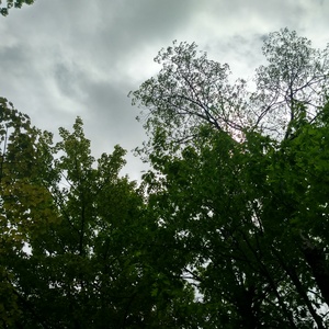 IMG_20200528_124257.jpg