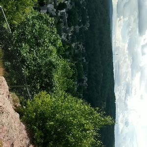 PANO_20200701_154448.vr.jpg