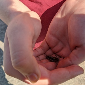 IMG_20200805_155558.jpg